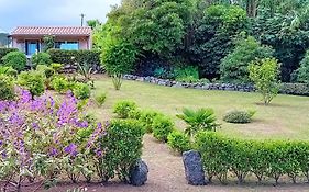 Faial Cottage B&B